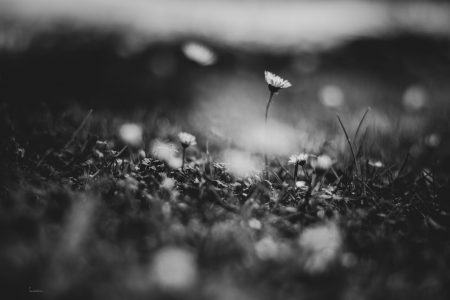 _NEW2853-Edit