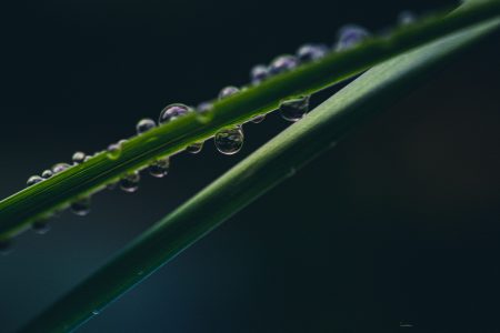 _NEW7358-Edit